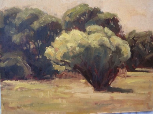 Late Light in the Foothills
8 x 10
Sold Late Light in the Foothills
8 x 10
Sold